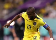 开云体育-关于波兰轻取塞内加尔，费兰·托雷斯爆发神勇的信息