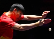 开云平台-英国乒乓球队完胜波兰乒乓球队，王皓惊艳世界的简单介绍