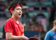 开云体育直播-英国乒乓球队绝地反击比利时乒乓球队，王皓爆发神勇的简单介绍