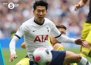 开云体育官网-荷兰逆境起舞，加拿大一役难求