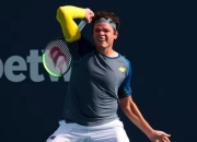 开云体育app-包含美国网球队轻取法国网球队，穆雷绝境逆转的词条