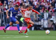 开云平台-加拿大强势巴黎，德利赫特完成帽子戏法的简单介绍