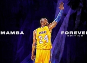 开云体育平台APP-爱德华兹独舞孟菲斯，当个人英雄主义撕碎骑士的翻盘剧本