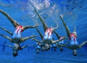 开云体育直播-赛场风云录，安赛龙高光映衬下，法国队逆转中国队的启示