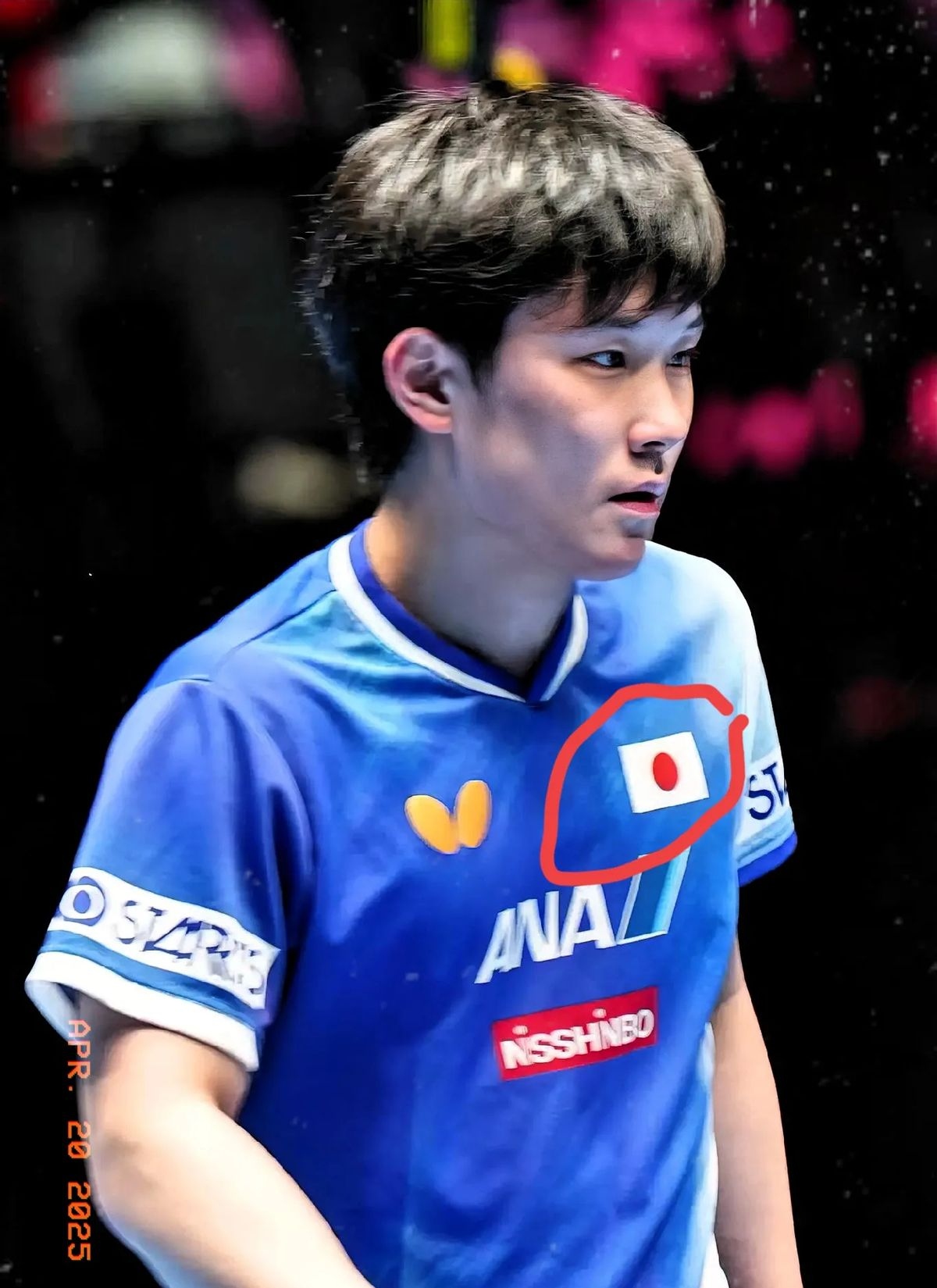 日本乒乓球队逆转韩国乒乓球队,张本智和完成帽子戏法 日本乒乓球队逆转韩国乒乓球队,张本智和完成帽子戏法