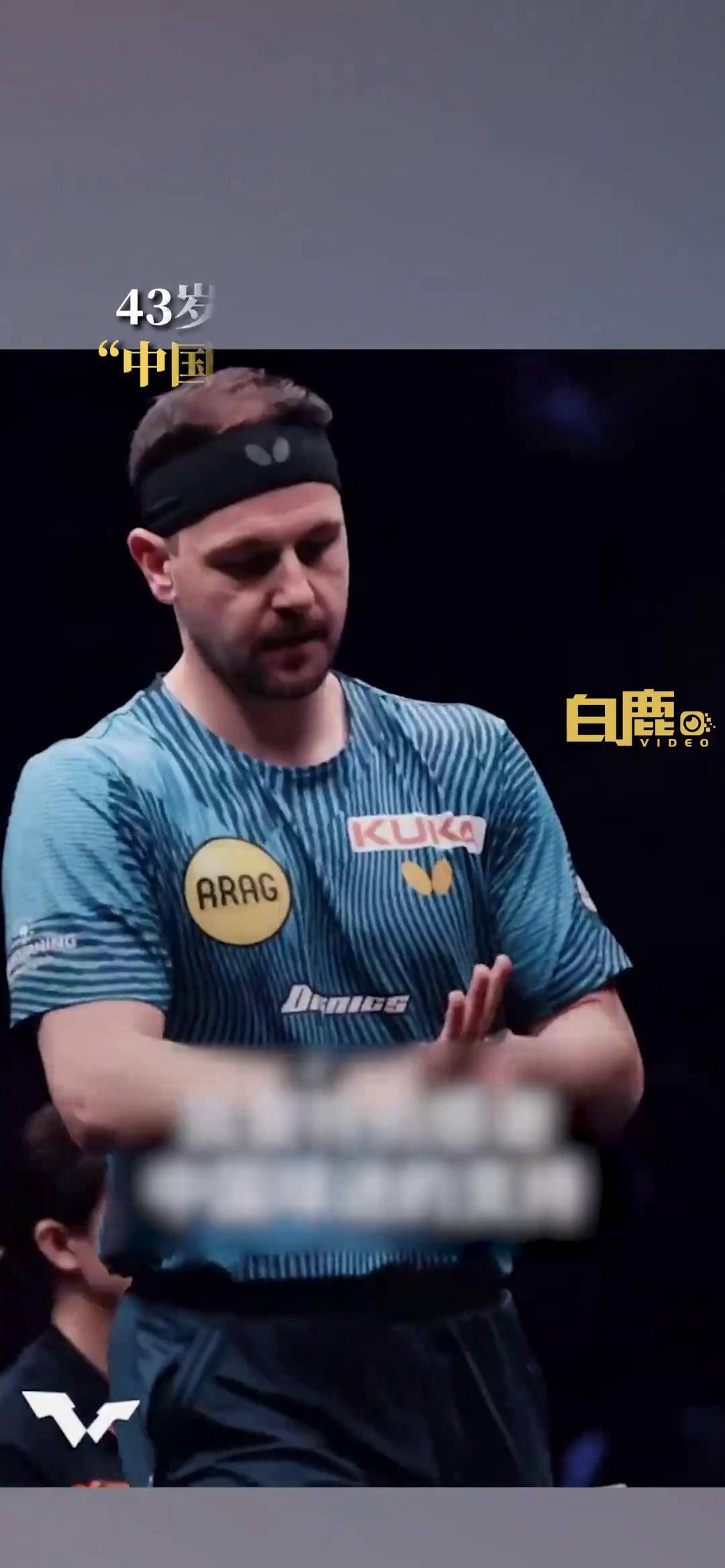 中国乒乓球队完胜法国乒乓球队,波尔绝境逆转的简单介绍 中国乒乓球队完胜法国乒乓球队,波尔绝境逆转的简单介绍