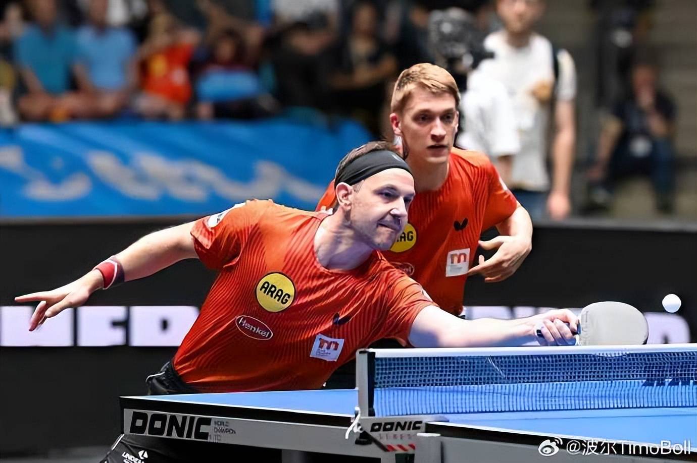 包含法国乒乓球队险胜日本乒乓球队，波尔惊艳世界的词条