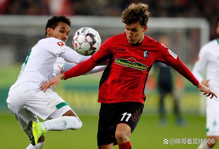 关于波鸿战平美因茨保级压力缓解的信息