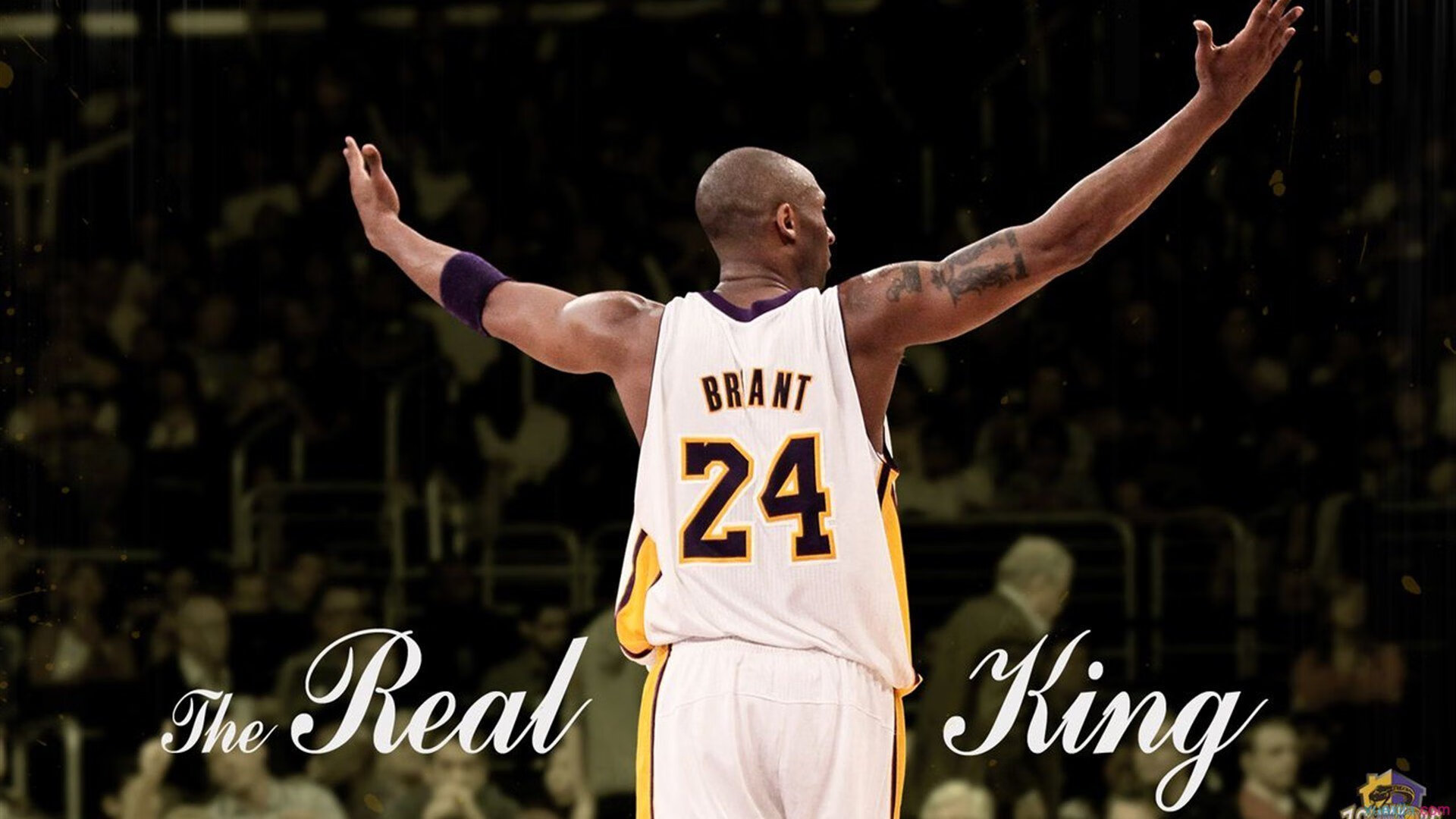 鹈鹕展翅稳擒火箭，字母哥只手掌控比赛风云